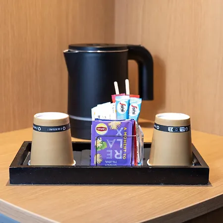 מלון Novotel Centre Compans Caffarelli טולוז
